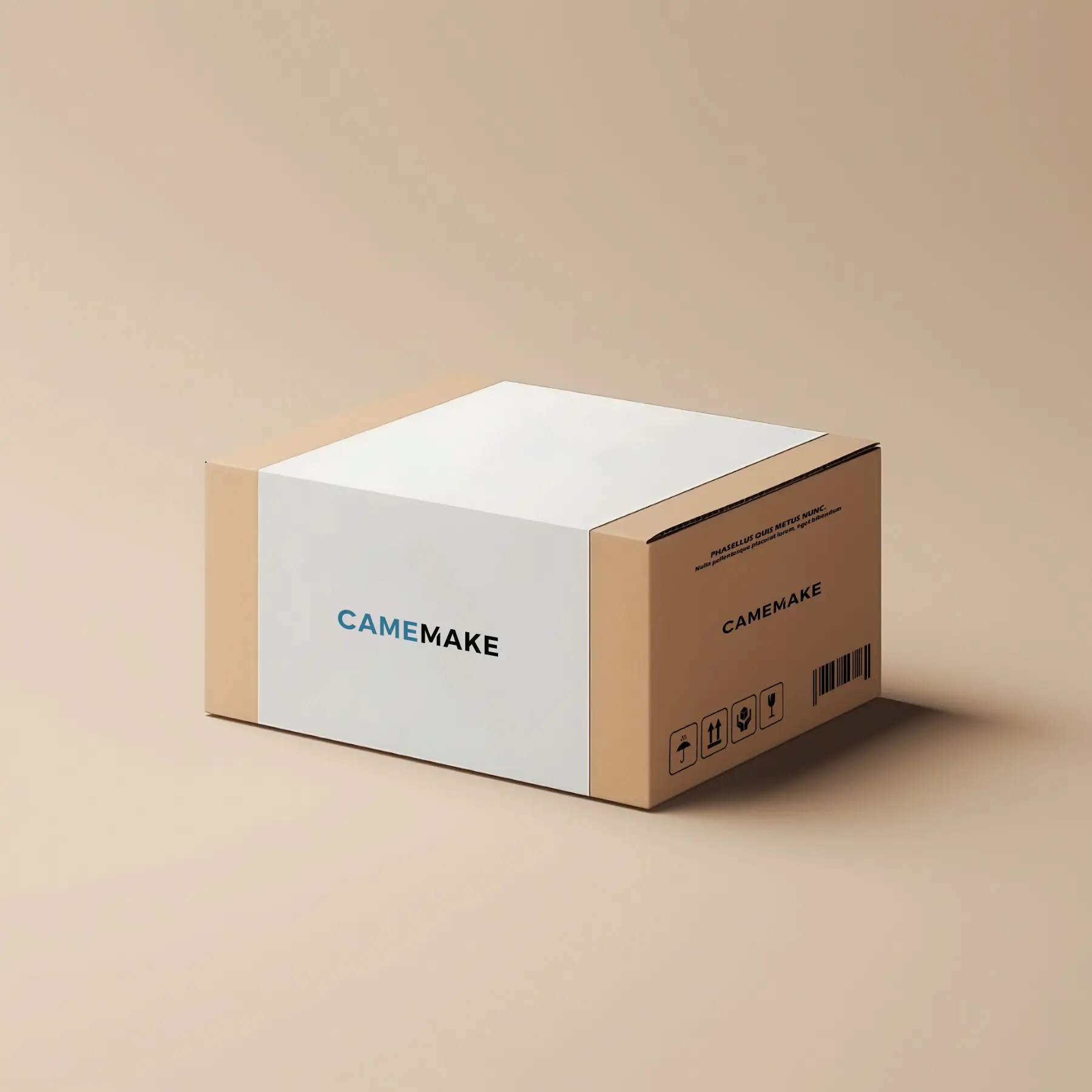 Camemake box example